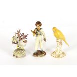 A Royal Worcester porcelain figure, "The Parakeet"; a Worcester figure "Four eyed Fish"; and another