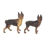 Two cast iron French cold painted studies of bull dogs, the largest 23cm long x 25cm high