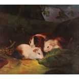 English school, study of three guinea pigs eating a lettuce leaf by a tree, unsigned oil on
