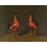 English school, circa 1900, study of a pair of fighting cocks, oil on canvas, 36cm x 46cm