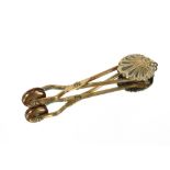 An Edwardian brass ladies hem-lifter