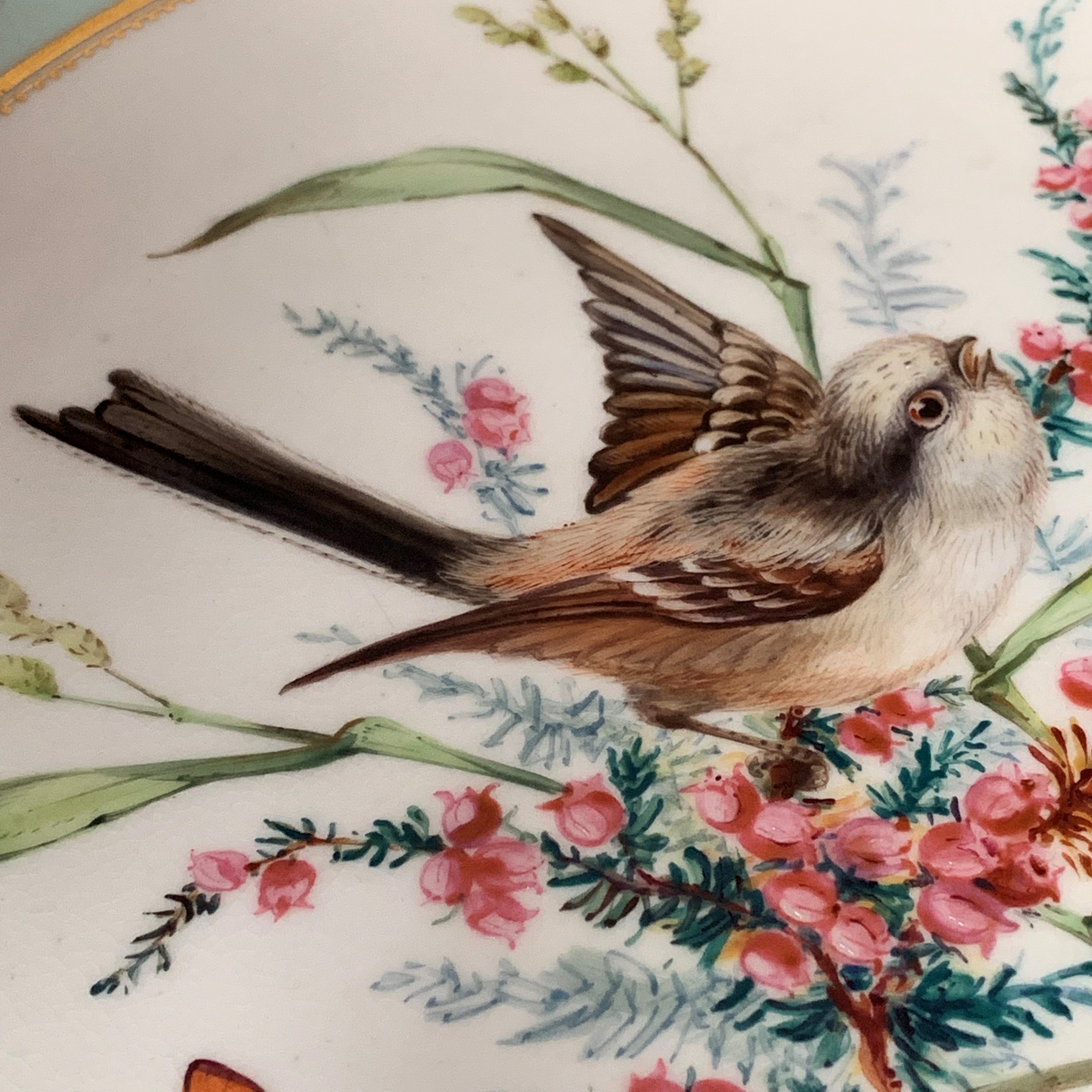 Five Royal Worcester plates depicting birds, light green borders with gilt decoration, - Image 6 of 18