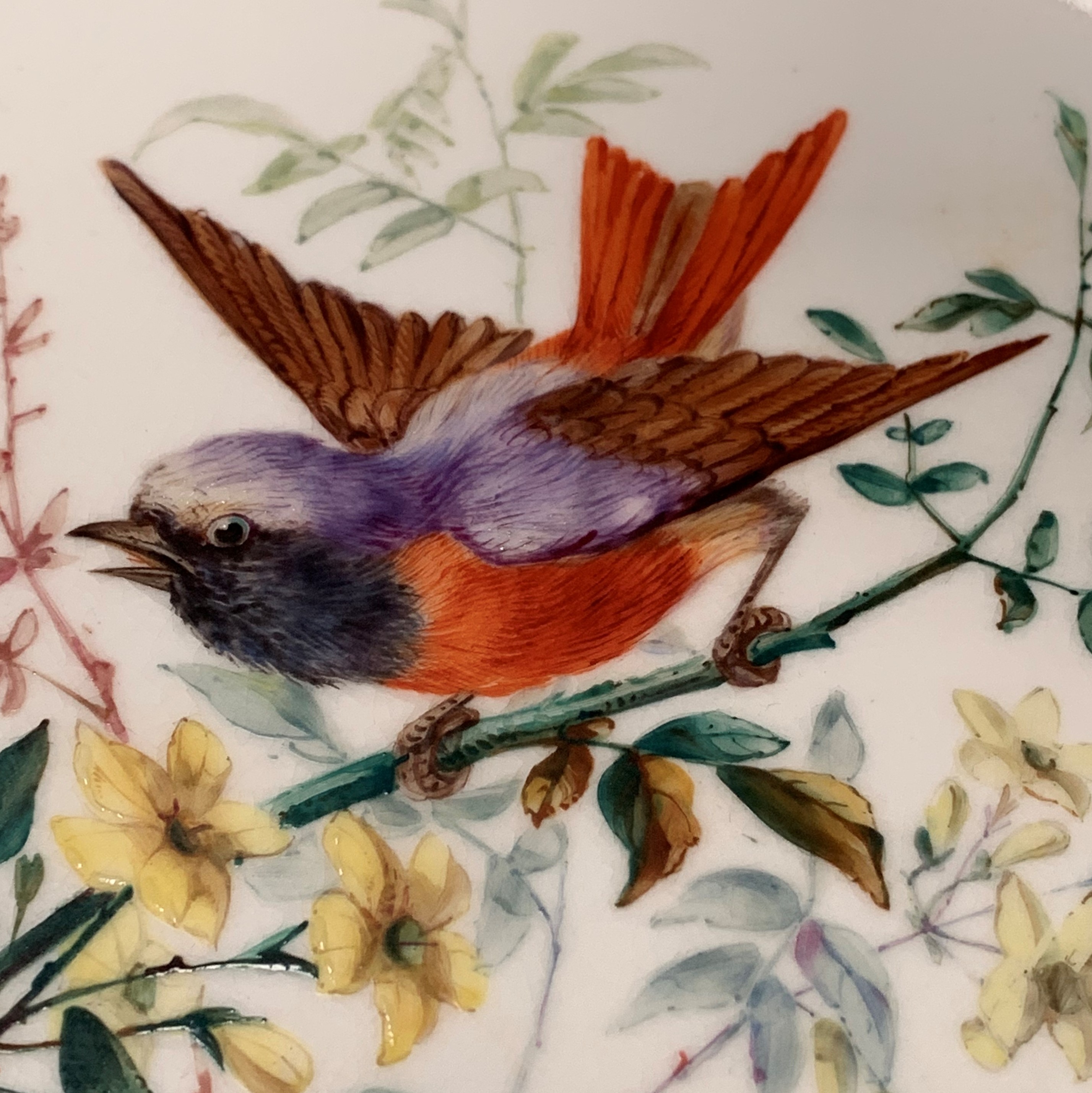 Five Royal Worcester plates depicting birds, light green borders with gilt decoration, - Image 7 of 18