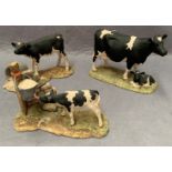Three Border Fine Arts models of cows, friesian and calf, morning feed etc.