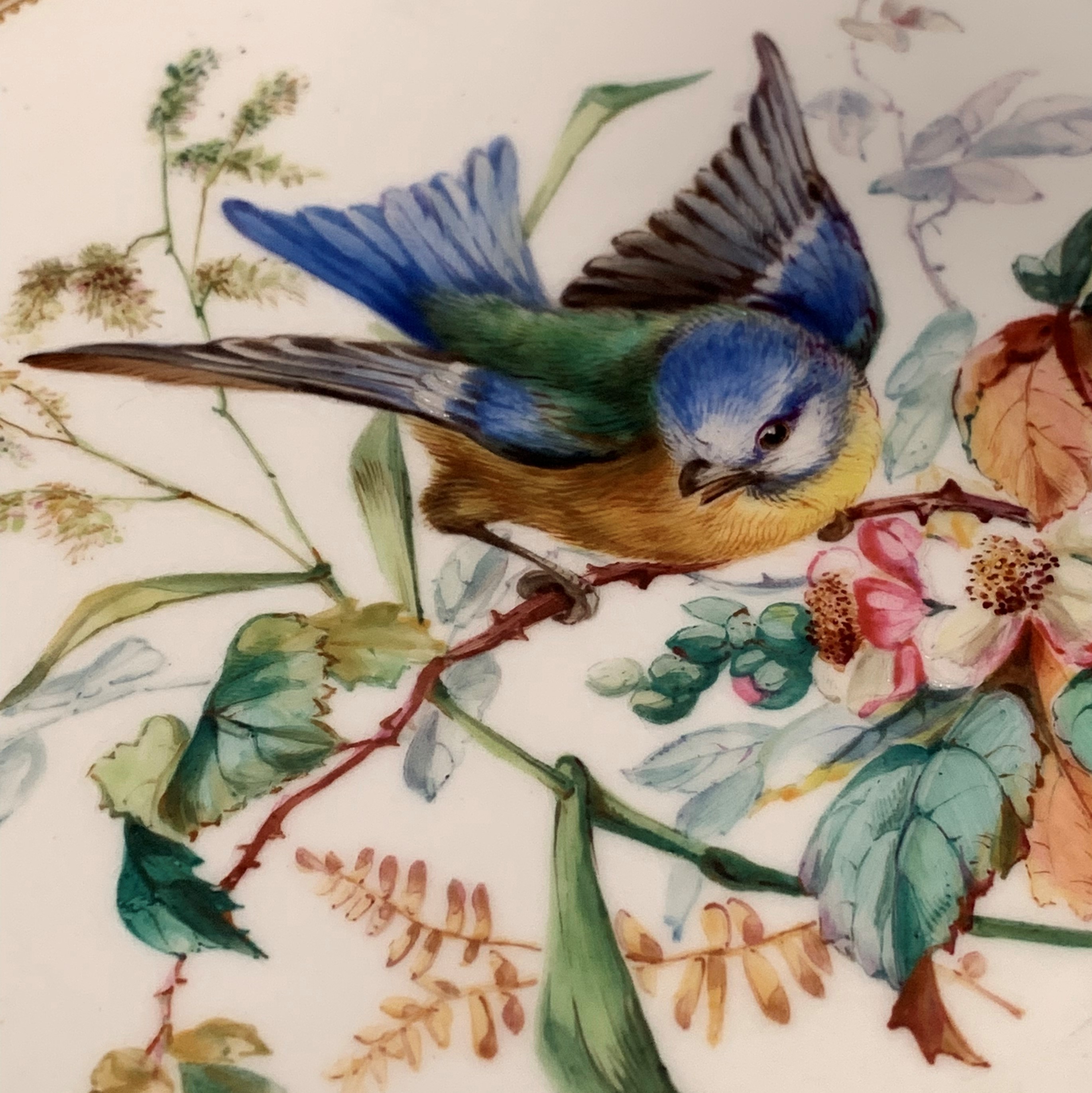 Five Royal Worcester plates depicting birds, light green borders with gilt decoration, - Image 4 of 18