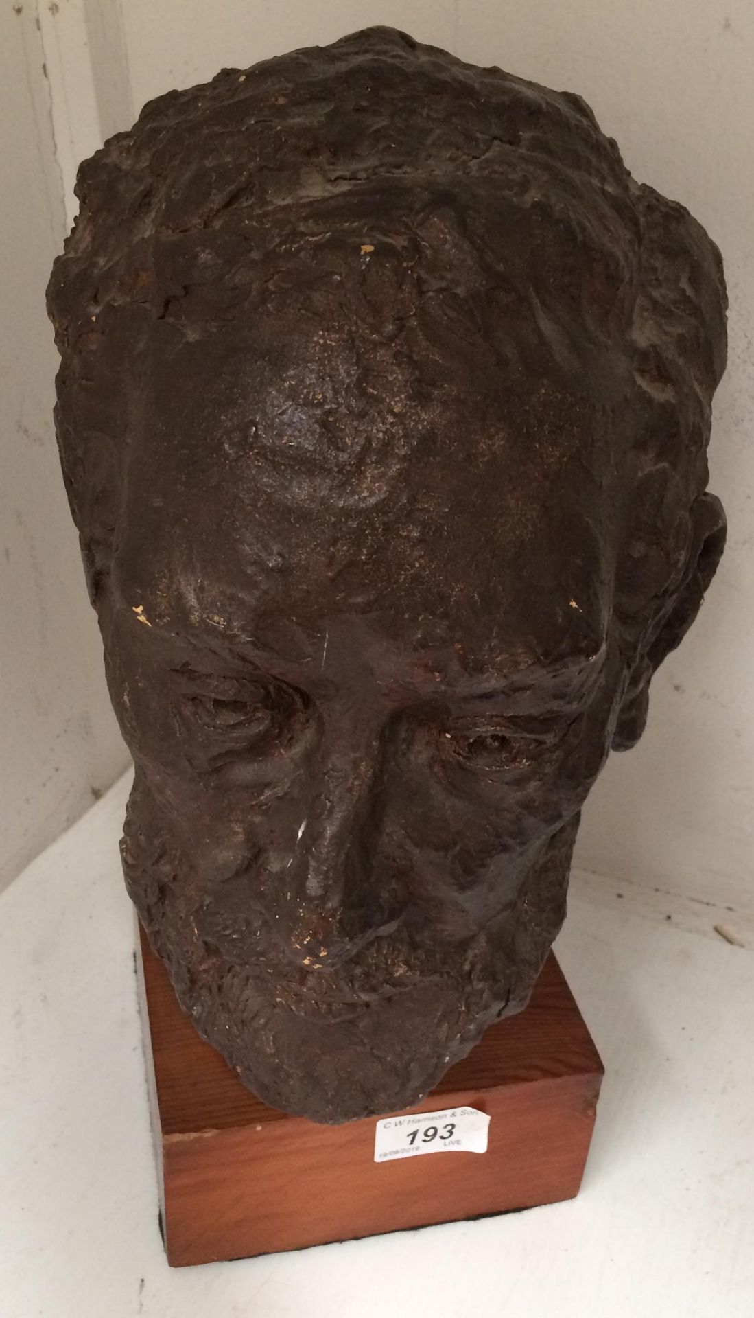 A model cast of a male head