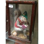 A taxidermy grey squirrel dressed in a red waist coat and green hat reading a book in display case