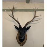 Black plastic wall mounted deer's head with antlers