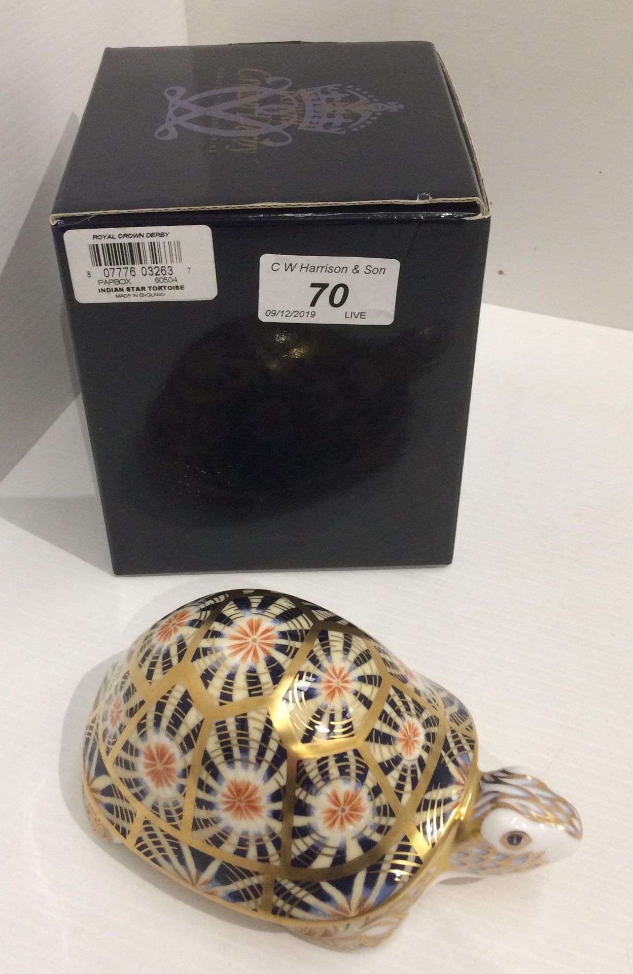 A Royal Crown Derby bone china Indian Star Tortoise paperweight - 15cm long,