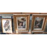 A pair of 19th Century oils on board of bridge and waterfall scenes plus a 19th Century owl print