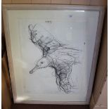 Jason Gathorne-Hardy graphite drawing 'Herring Gull',