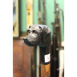 A bespoke hand crafted walking stick with dogs head