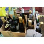 Fifteen bottles of various wines including Adnams champagne