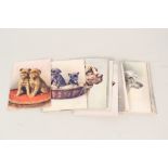 Various Phillips postcard size dogs cigarette cards