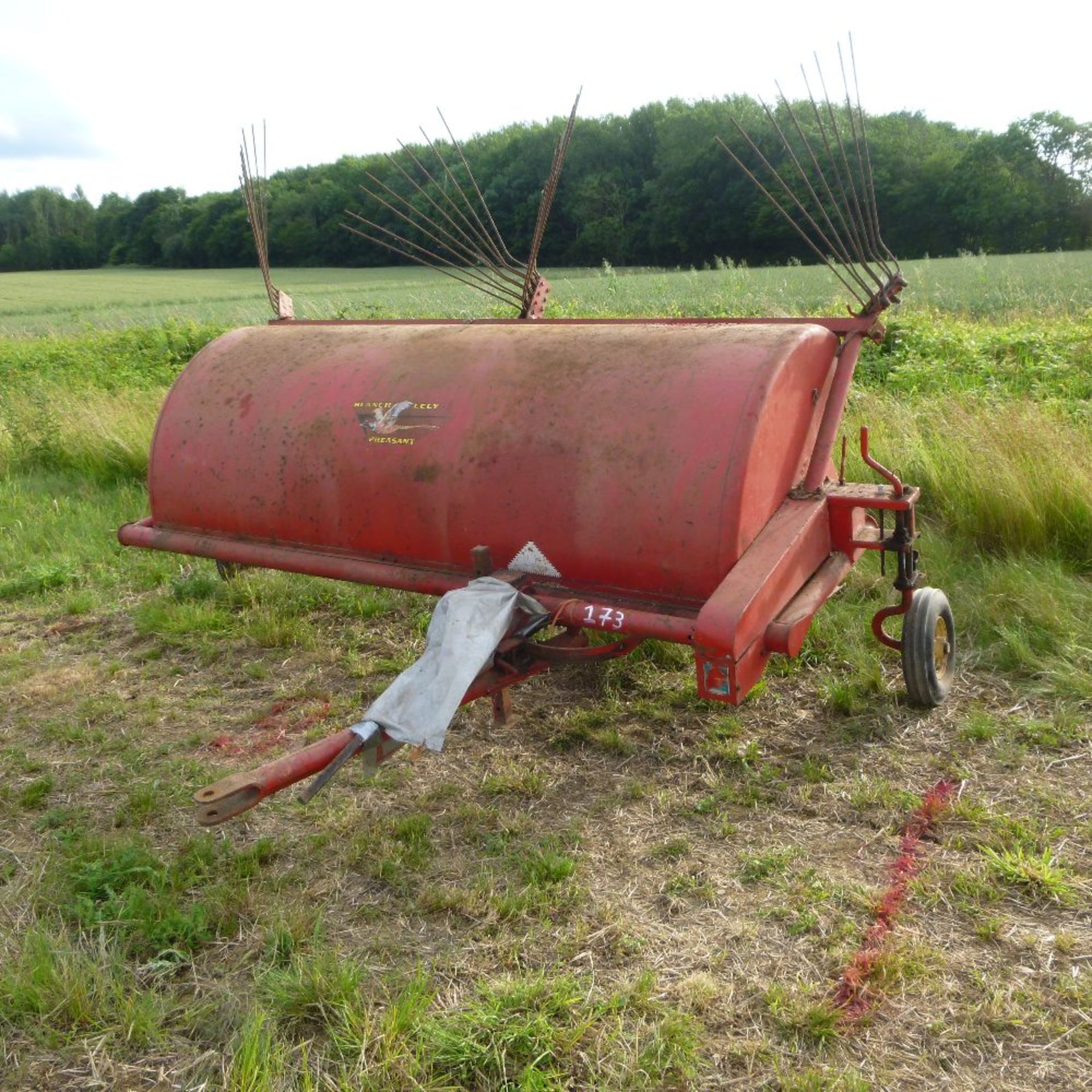 Lely cock pheasant