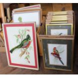 Seventeen various coloured ornithological prints after Gould (two boxes)