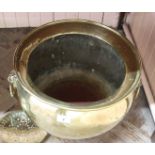 A large 19th Century bulbous brass jardiniere or log bucket with lion mask ring handles and raised