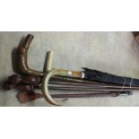 A walking stick with ivory grip,