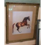 After George Stubbs-horse print 'Whistle Jacket',