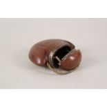 A 19th Century mahogany lidded box in the form of a nut with brass rim