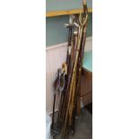 A collection of 'walking sticks' including many handmade examples