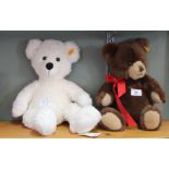 Two Steiff bears,