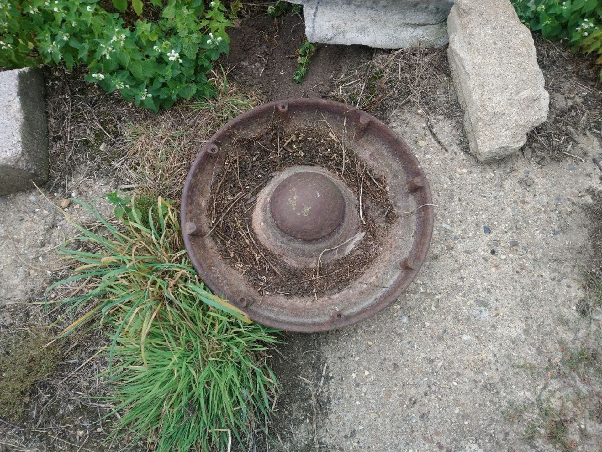 Mexican hat pig feeder