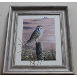 A watercolour of a barn owl, Mark Chester,