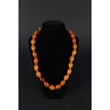 A butterscotch amber bead necklace with yellow metal clasp