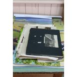 Various scrapbooks,