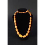 A long string of graduated butterscotch amber bead necklace