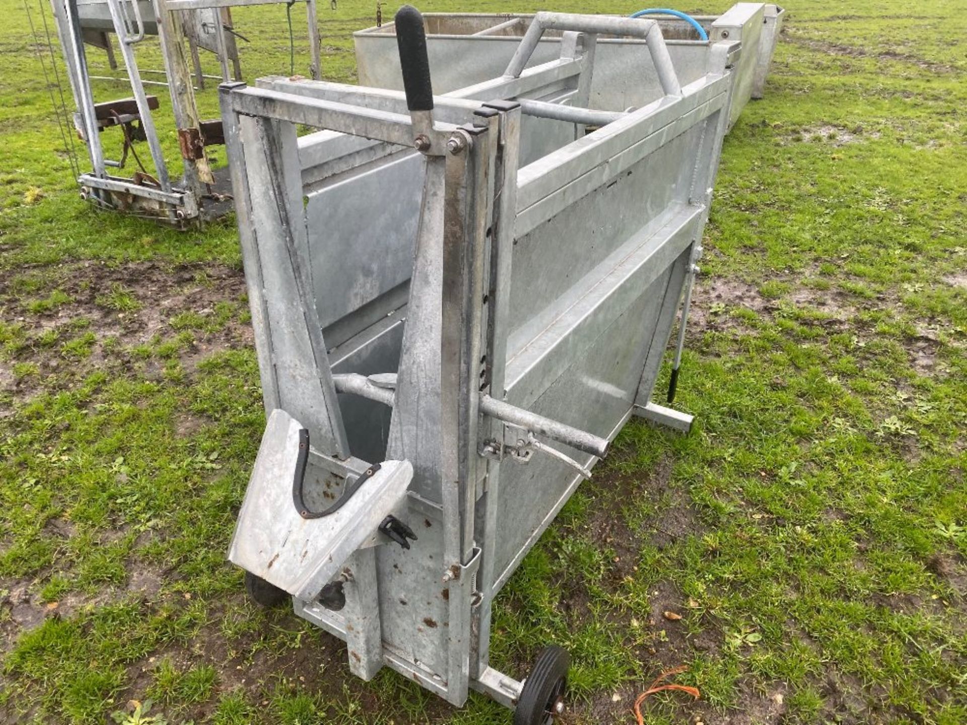 Bateman calf crush. Stored near Goring Heath, Reading. No VAT on this item.