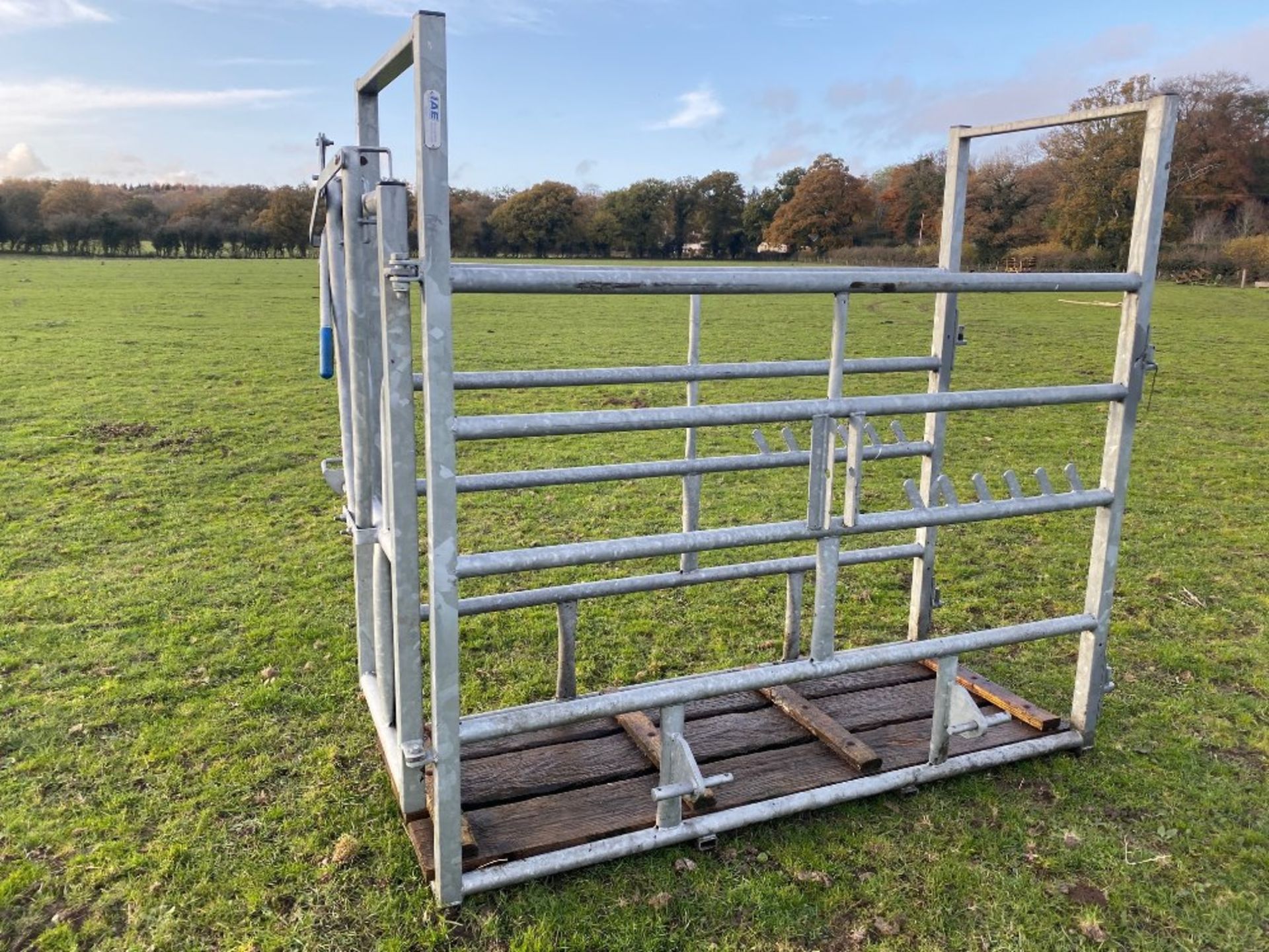 IAE Cattle crush. Stored near Goring Heath, Reading. No VAT on this item.