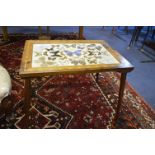 Framed Butterfly Collection Panel Coffee Table