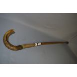 Rams Horn Handled Walking Stick