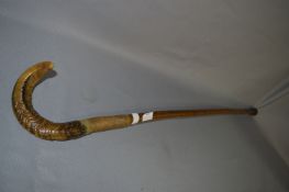 Rams Horn Handled Walking Stick