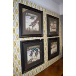 Set of Four Framed Markus Pierson Limited Edition Lithographs