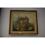 Framed Oil on Canvas - Fruit signed H.Shaw