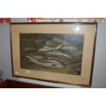 Framed Watercolour - Fish signed C. Williamson