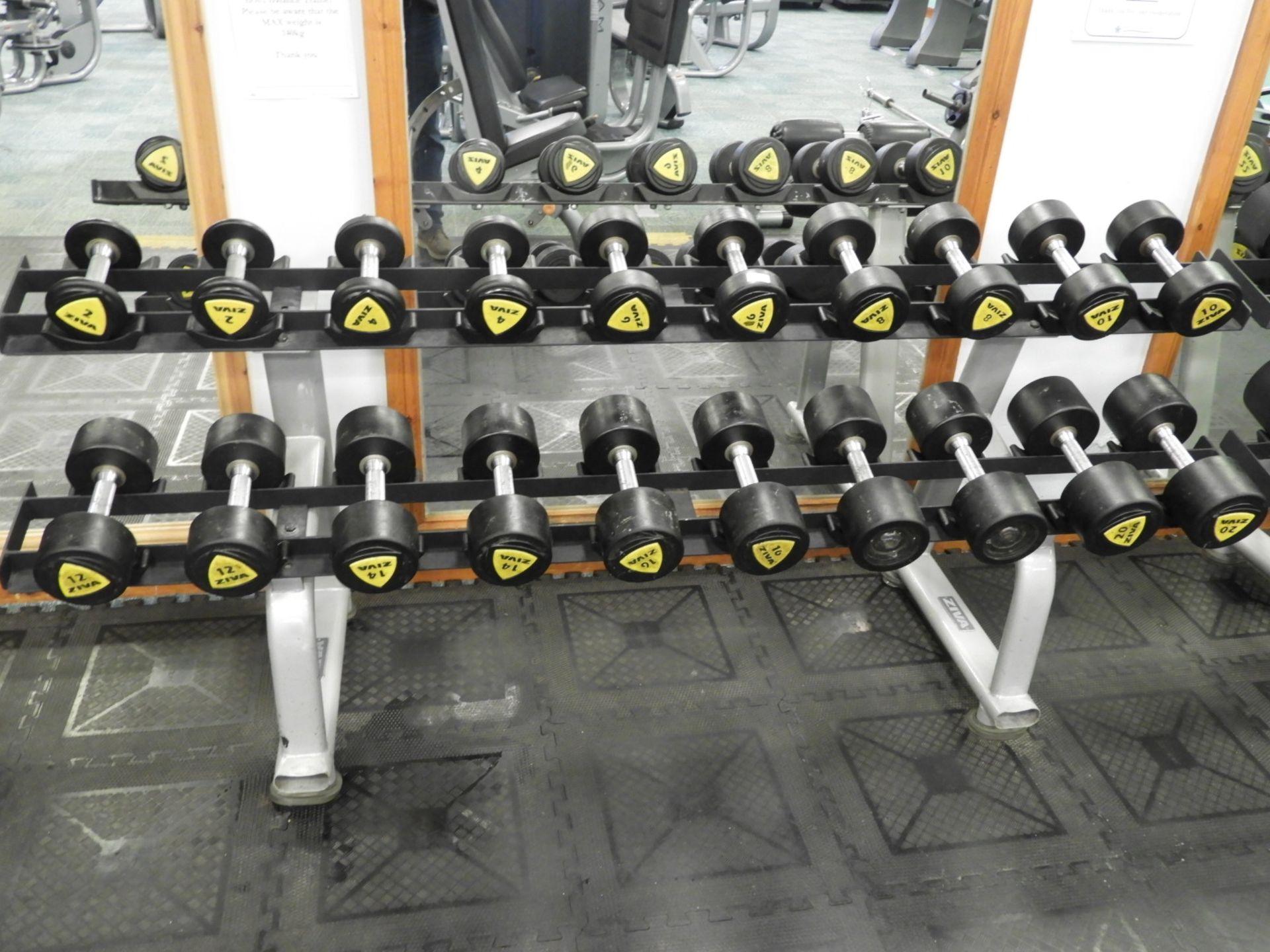 *Ziva Dumbbell Rack Containing 10 Sets of Dumbbell