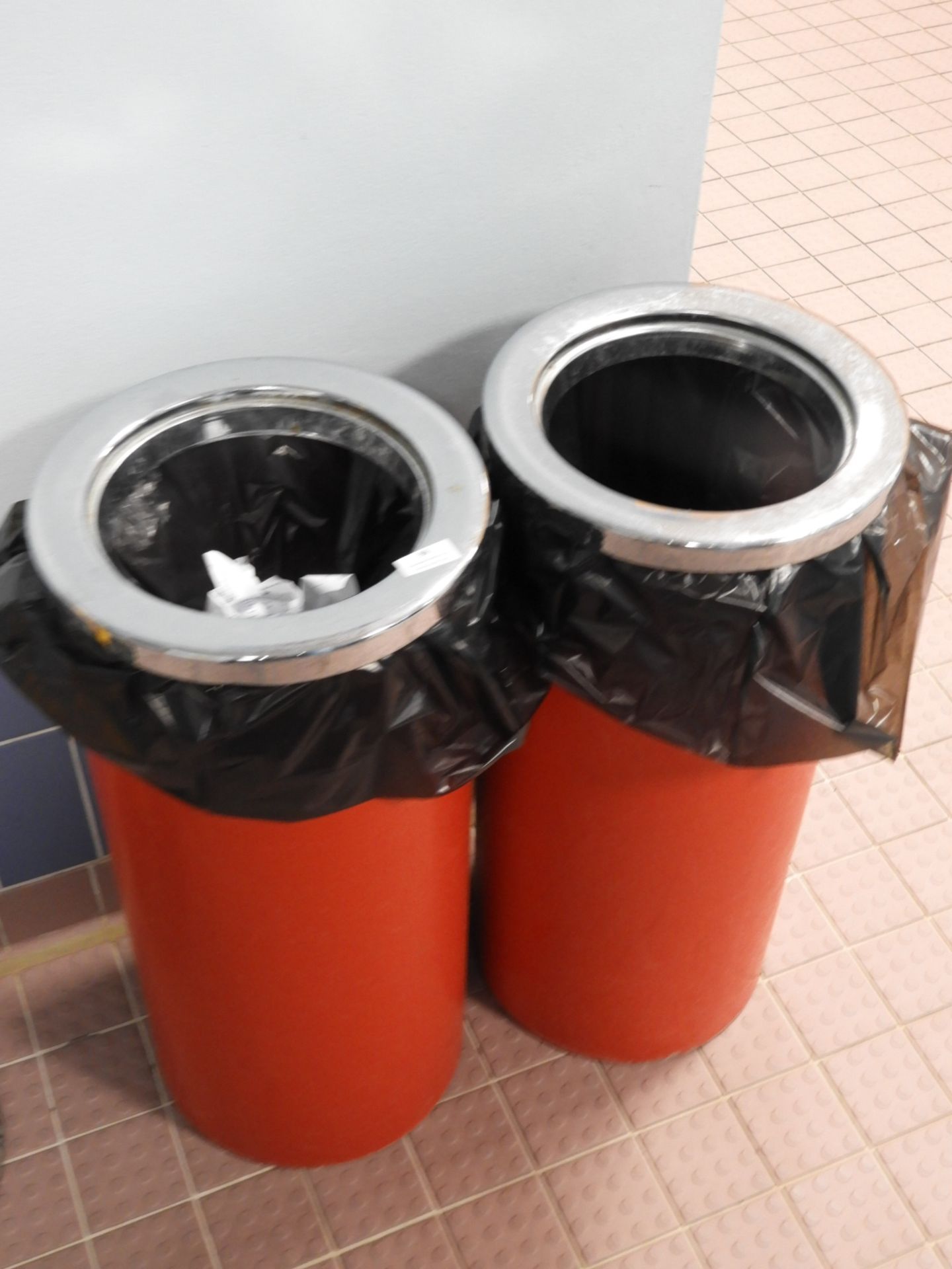 *Two Waste Bins