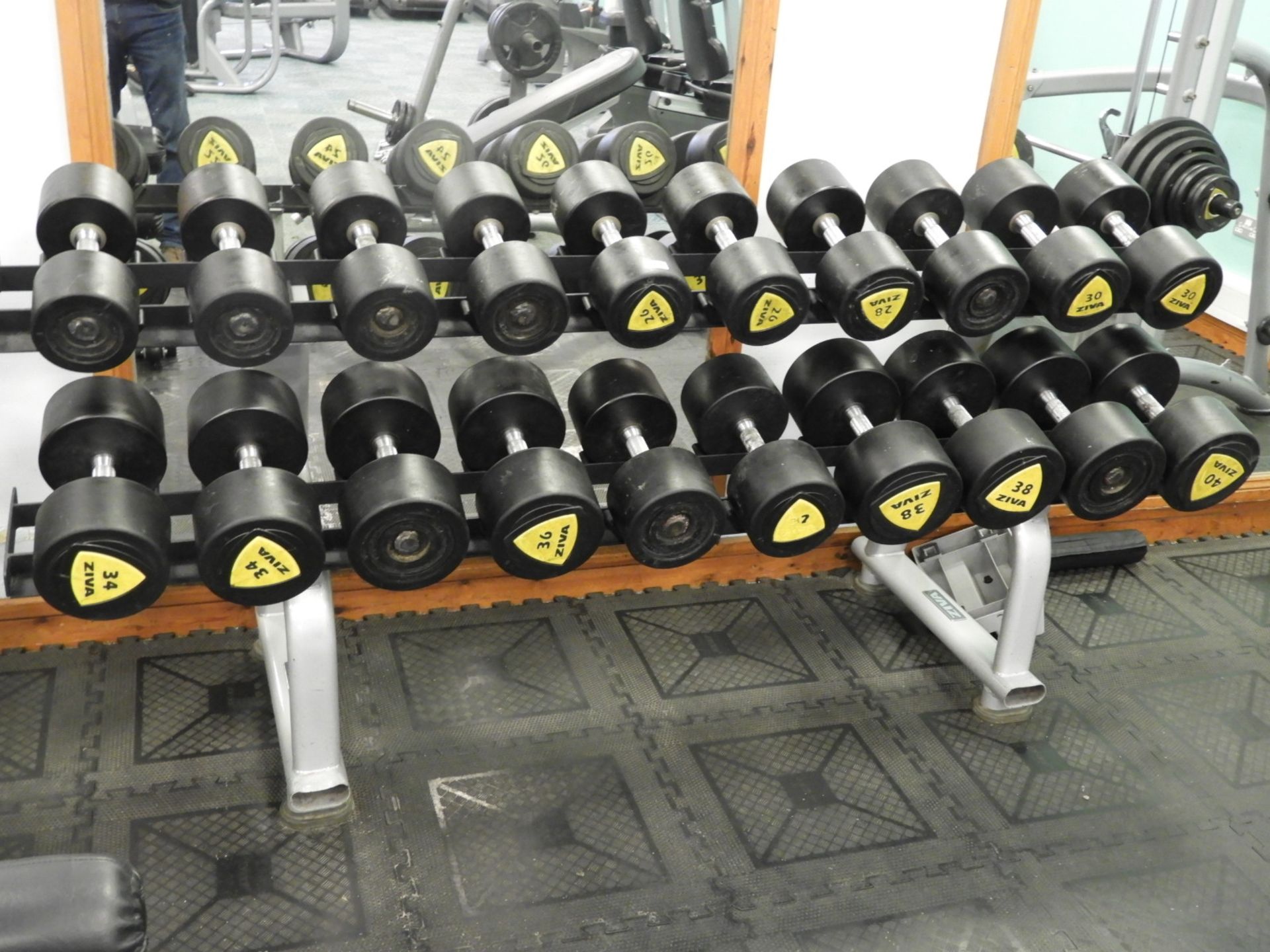 *Ziva Dumbbell Rack Containing 10 Sets of Dumbbell