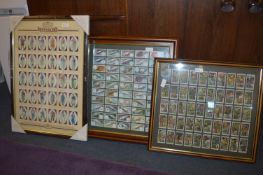 Framed Castella Waterloo Soldiers and Two Framed Wills Cigarette Cards