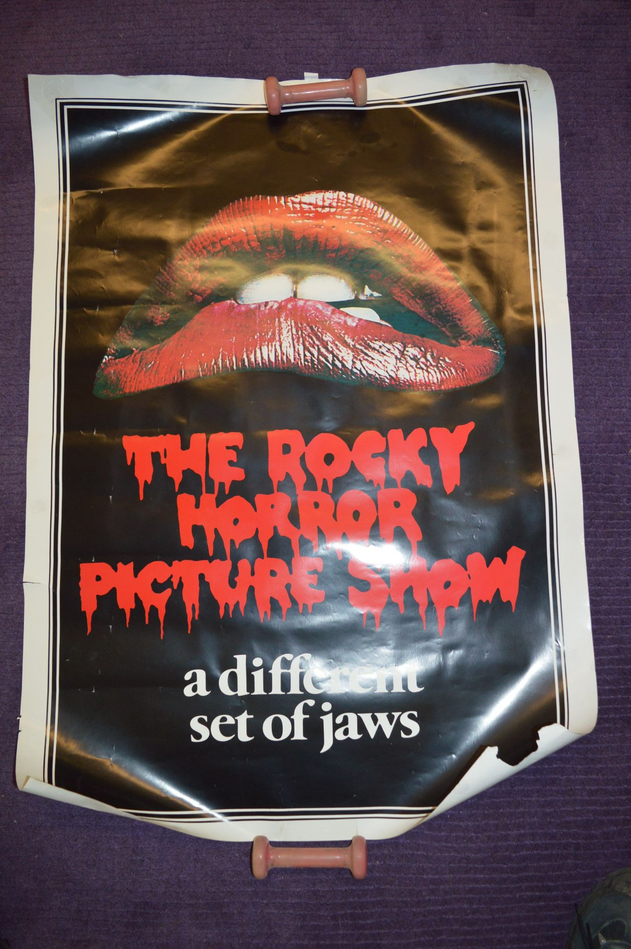 Rocky Horror Picture Show Poster