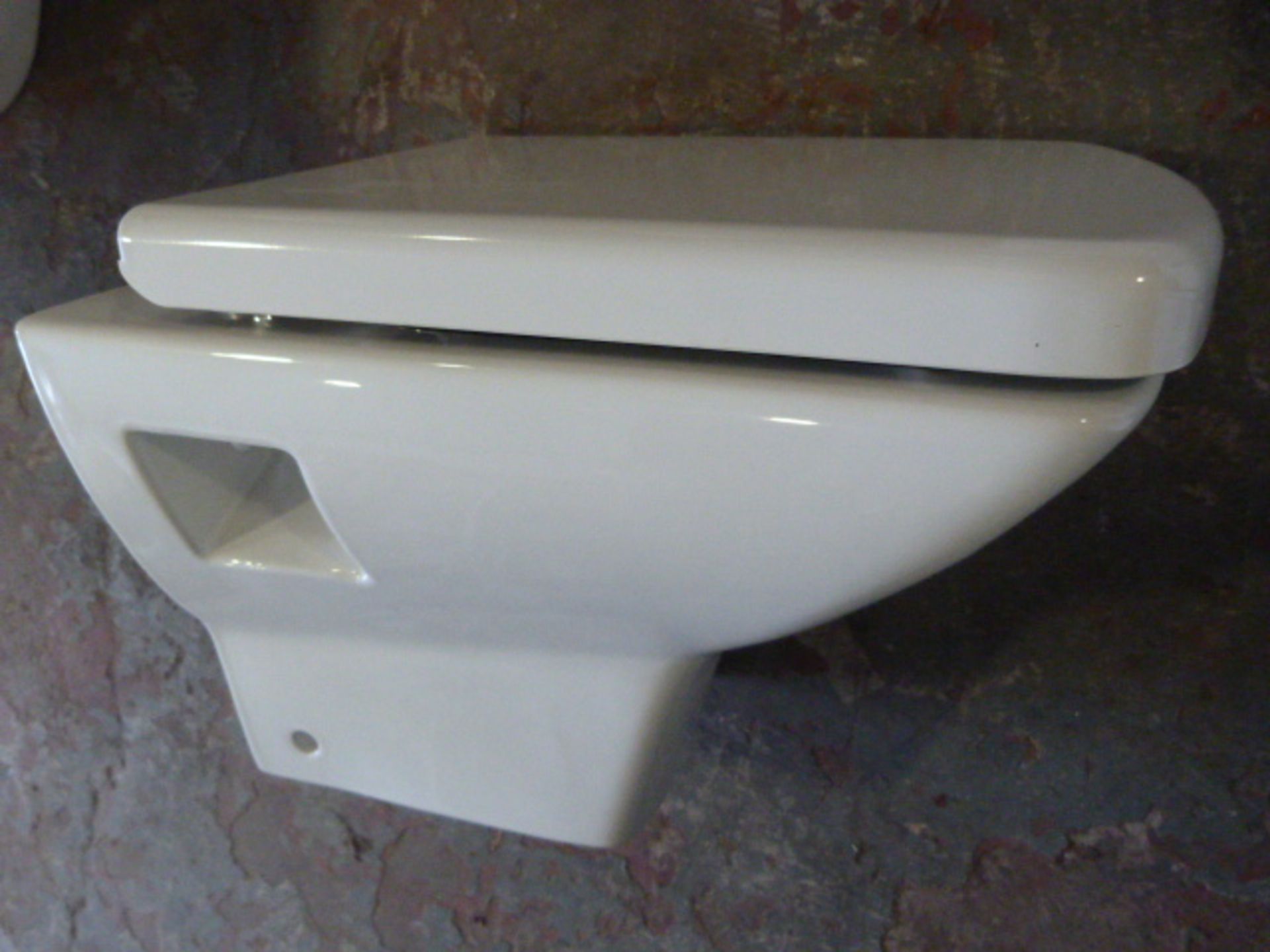 *Wall Mounted White Toilet