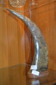 Carved Cow Horn on Wooden Base