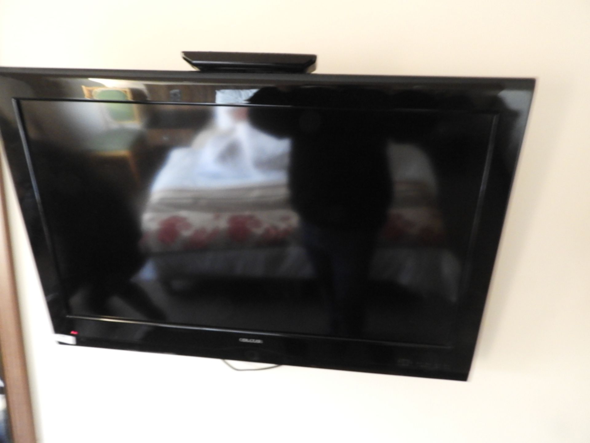 *Celcus Wall Mounted TV As Fitted in Room 327