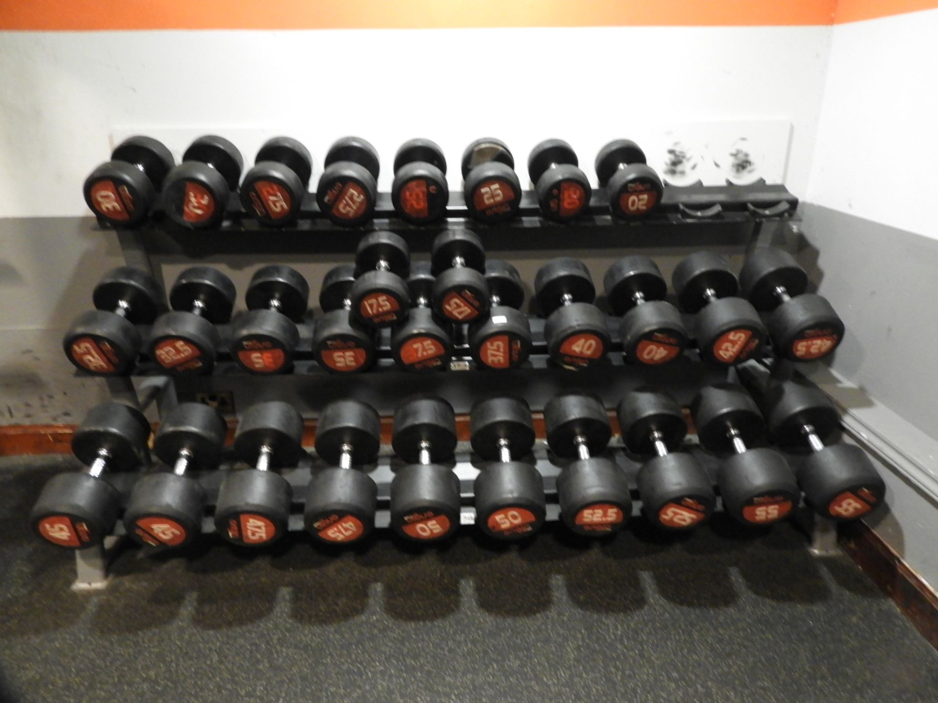 *Dumbbell Rack Containing 15 Pairs of Dumbbells (1