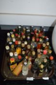 Collection of Miniature Alcohol Bottles