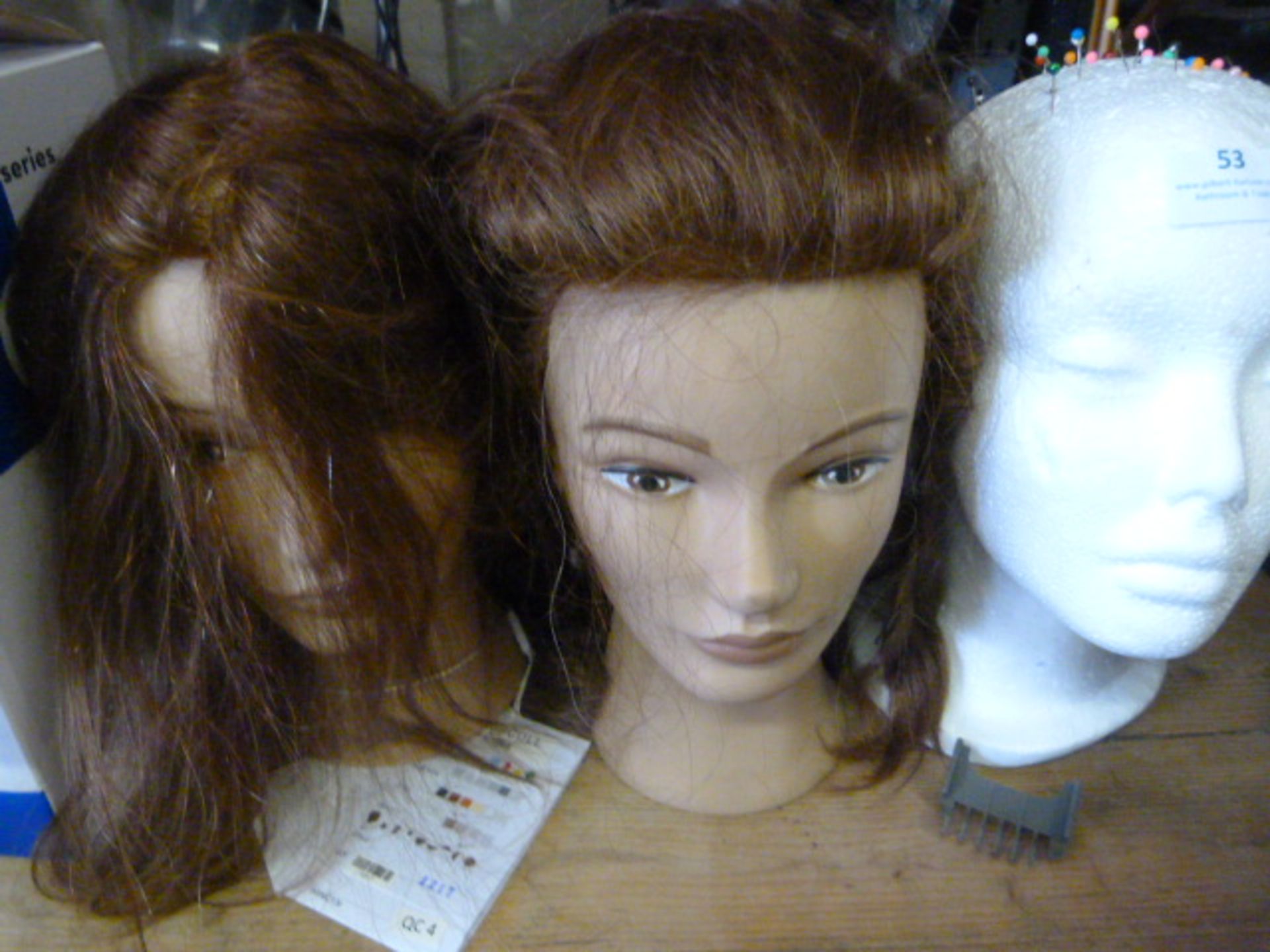 Polystyrene Head and a Two Styling Practice Heads